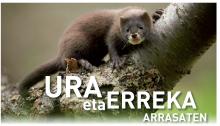 Arrasate nov 2016 Arrasate nov 2016