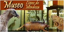 Museo Mendoza Burgos Museo Mendoza Burgos