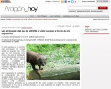 Aragon hoy Aragon hoy