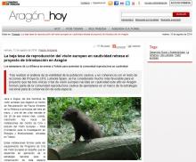 Aragon Hoy Aragon Hoy