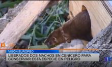 TeleRioja TeleRioja