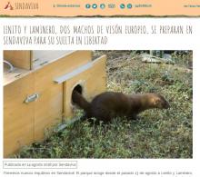 SENDAVIVA SENDAVIVA