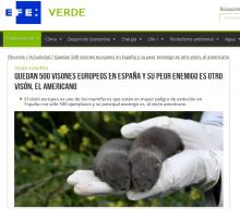 EFEVERDE EFEVERDE