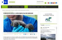 EFE Verde EFE Verde