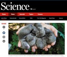 Science Science