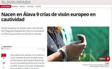 Nacen en Álava 9 crías de visón europeo en cautividad Nacen en Álava 9 crías de visón europeo en cautividad