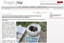 Aragón_hoy Aragón_hoy
