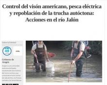 Control del visón americano, pesca eléctrica y repoblación de la trucha autóctona: Acciones en el río Jalón Control del visón americano, pesca eléctrica y repoblación de la trucha autóctona: Acciones en el río Jalón