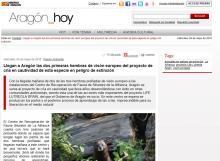 Aragon Hoy Aragon Hoy