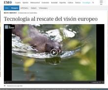 El Mundo. Tecnología al rescate del visón europeo El Mundo. Tecnología al rescate del visón europeo