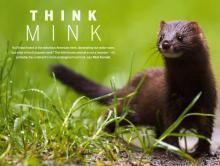 Portada BBC Wildlife Portada BBC Wildlife