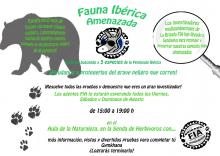 Semana FIA SENDAVIVA Semana FIA SENDAVIVA
