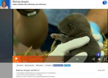 TVE Noticias Aragón TVE Noticias Aragón