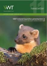 VWT newsletter VWT newsletter