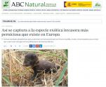 ABC Natural